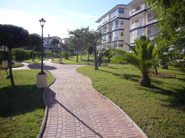 Bungalow Con Terraza La Mata ลามาตา ภายนอก รูปภาพ